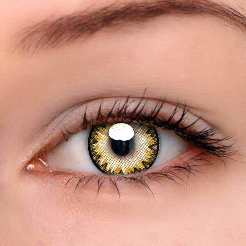 FlyDear Blossom Gold Brown (Yearly / 2 Lenses)